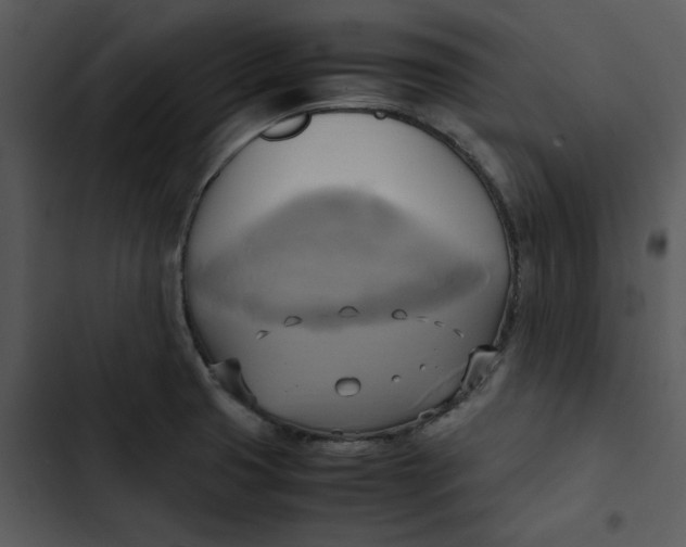 X0000102841425200809081209