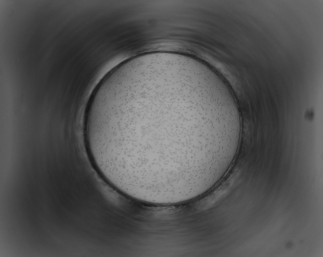 X0000102841426200809081209