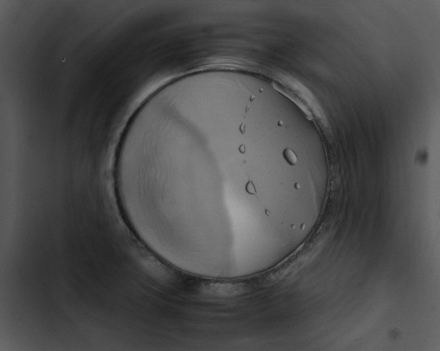 X0000102841427200809081209