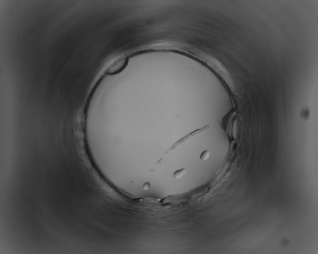 X0000102841428200809081209