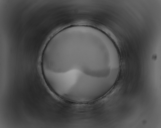 X0000102841429200809081209