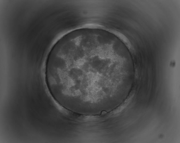 X0000102841430200809081209