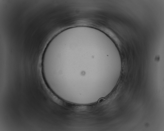 X0000102841431200809081209