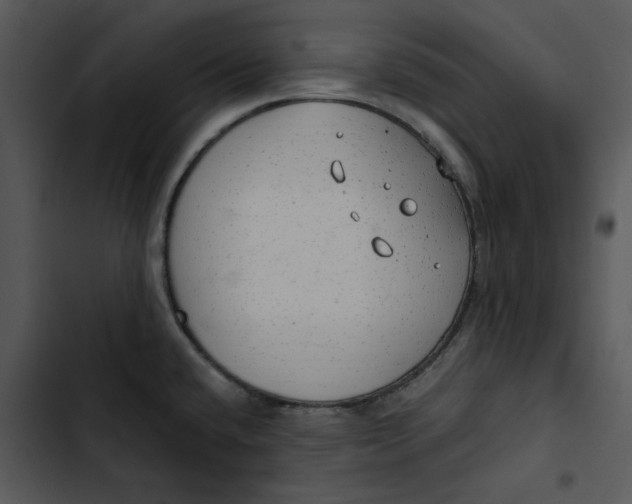 X0000102841432200809081209