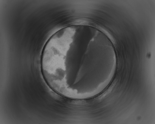 X0000102841434200809081209