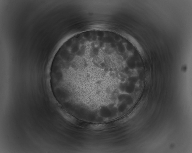 X0000102841435200809081209