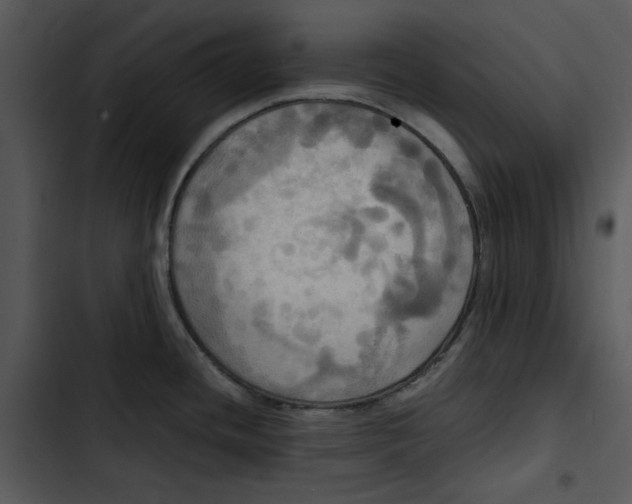 X0000102841436200809081209