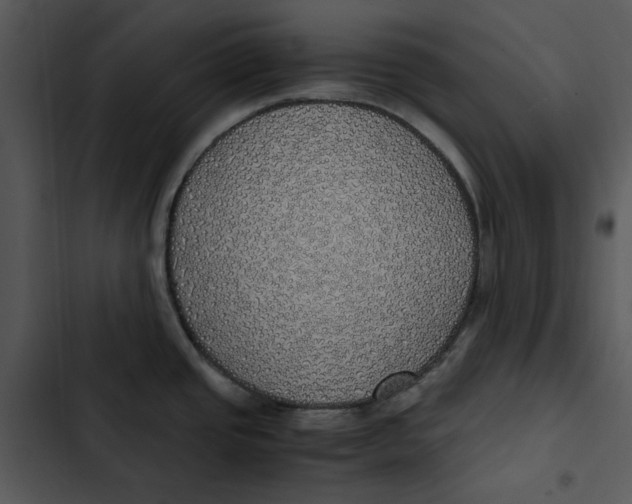 X0000102841437200809081209