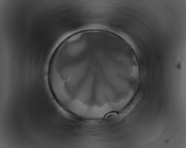 X0000102841438200809081209