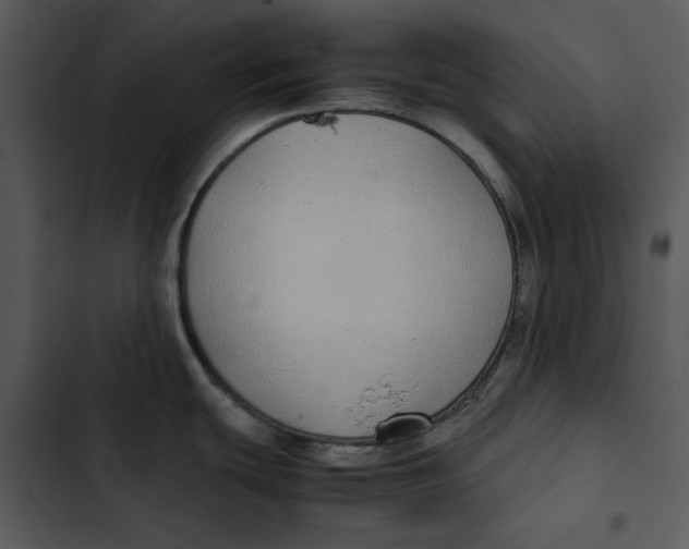 X0000102841439200809081209