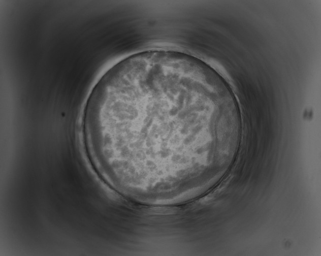 X0000102841440200809081209