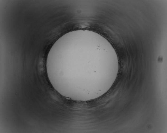 X0000102841442200809081208