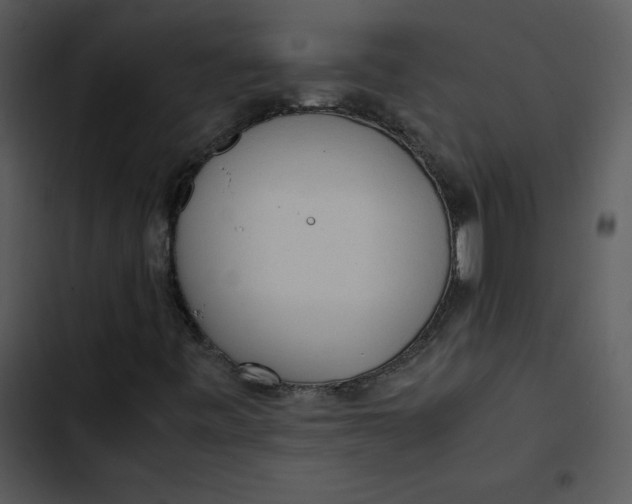 X0000102841443200809081208