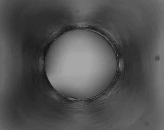 X0000102841444200809081208