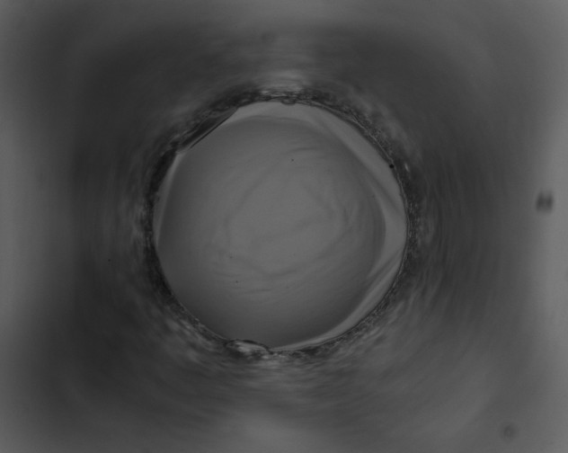 X0000102841445200809081208