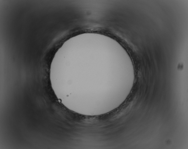 X0000102841447200809081208