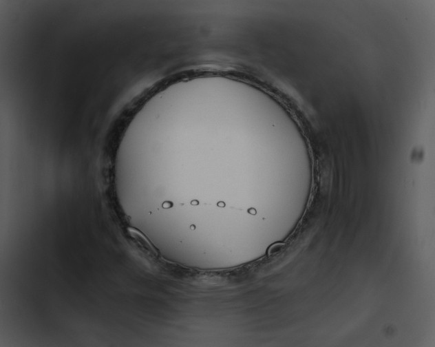 X0000102841448200809081208