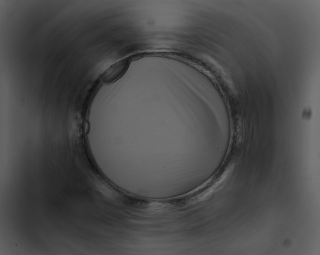 X0000102841449200809081208