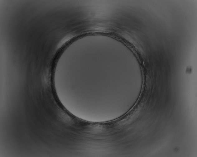 X0000102841450200809081208