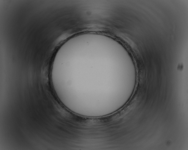 X0000102841451200809081208