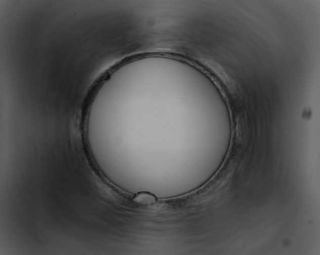 X0000102841452200809081208