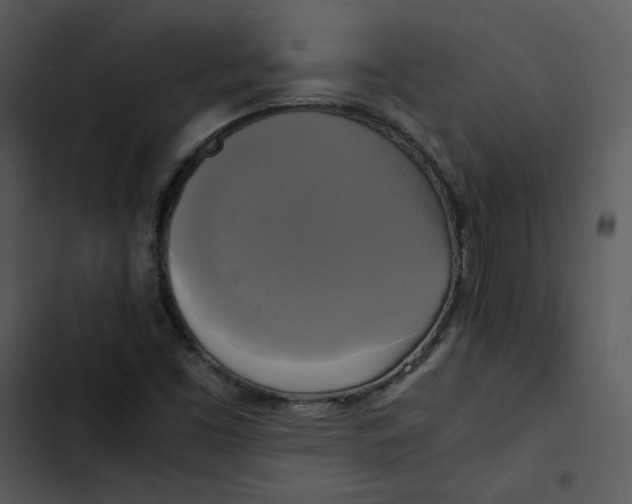 X0000102841453200809081208