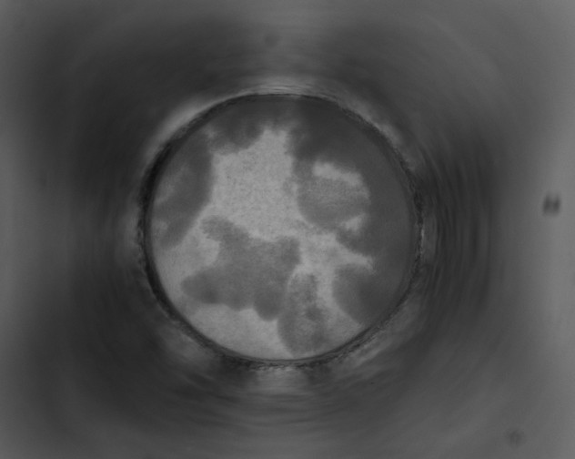 X0000102841454200809081208