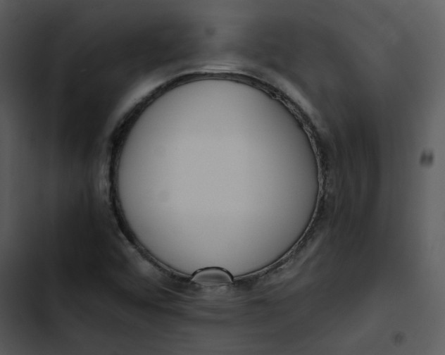 X0000102841456200809081208