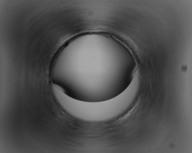 X0000102841457200809081208