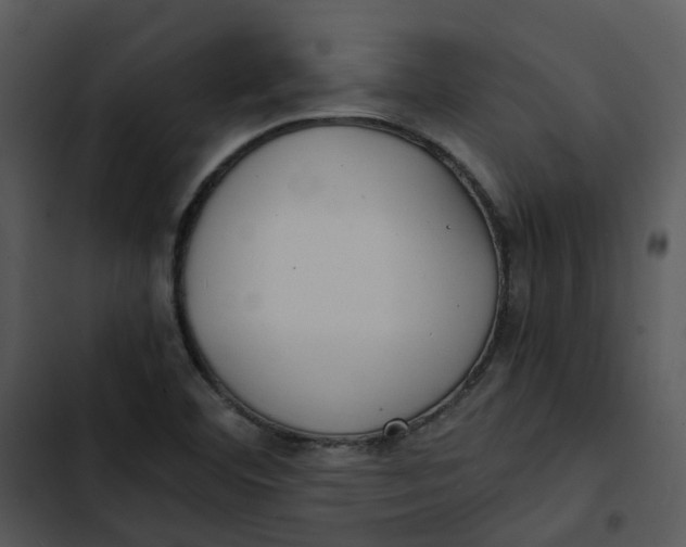 X0000102841460200809081208