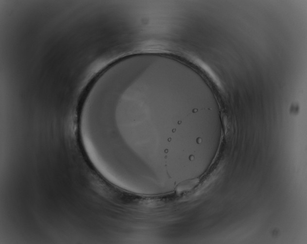 X0000102841461200809081208