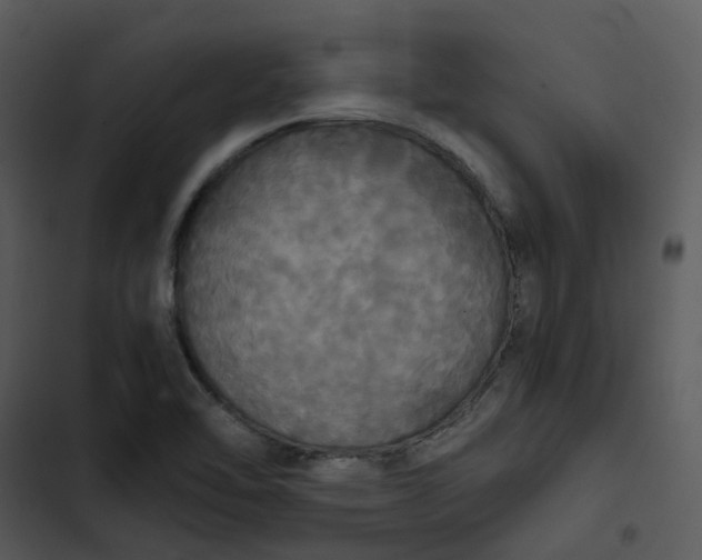 X0000102841462200809081208