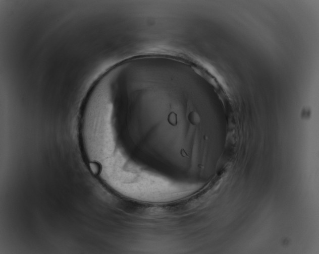 X0000102841463200809081208