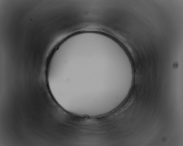 X0000102841464200809081208