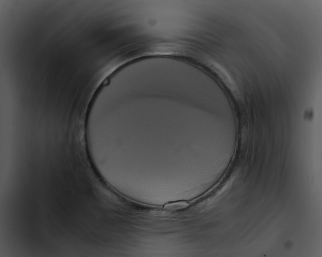 X0000102841465200809081208