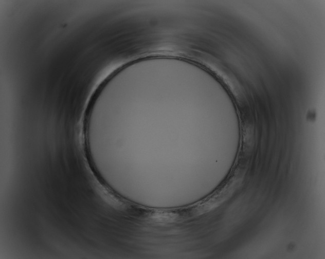 X0000102841466200809081208