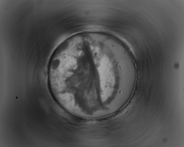 X0000102841467200809081208