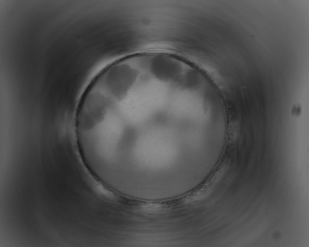 X0000102841470200809081208