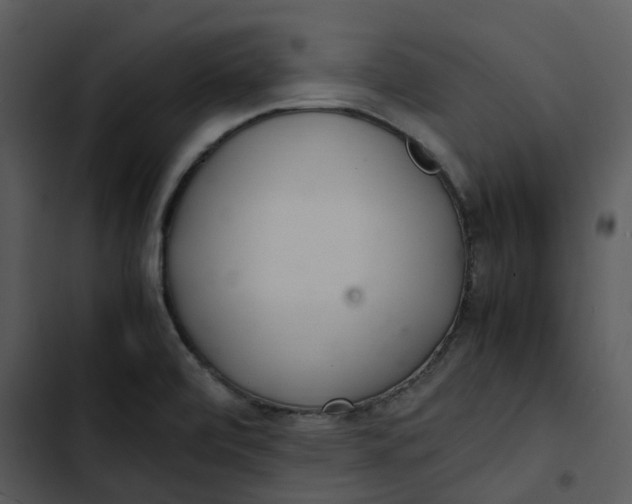 X0000102841472200809081208