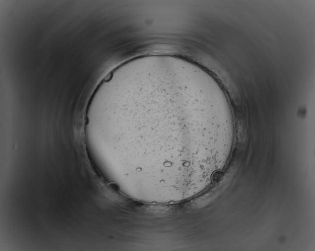 X0000102841473200809081208