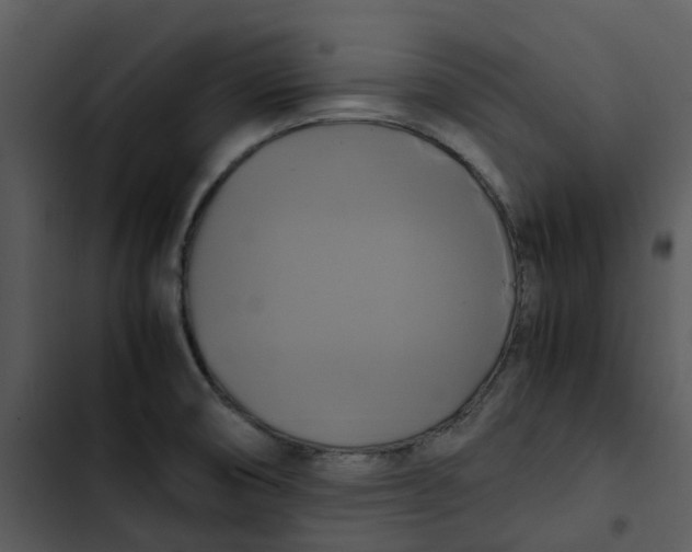 X0000102841474200809081208