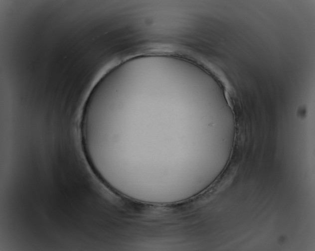 X0000102841475200809081208