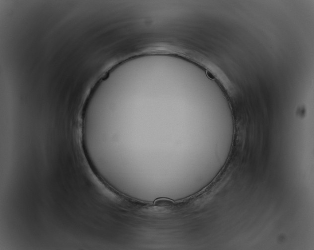 X0000102841476200809081208