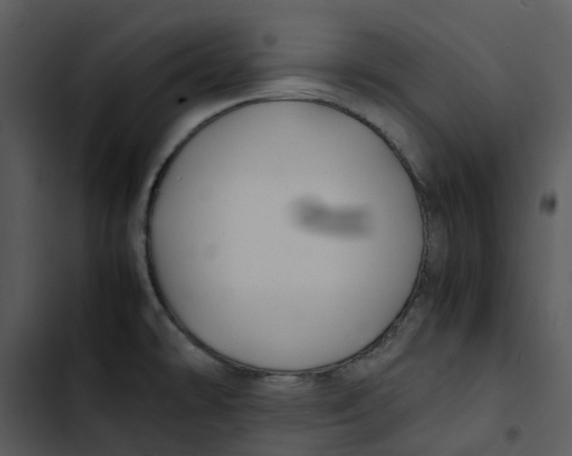 X0000102841478200809081208