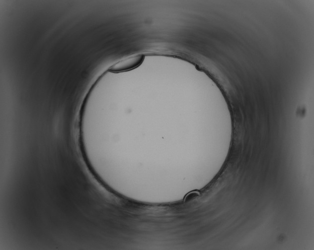 X0000102841479200809081208