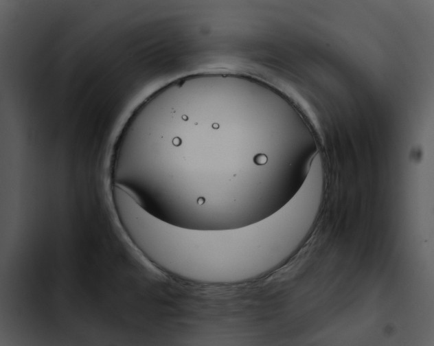 X0000102841480200809081208