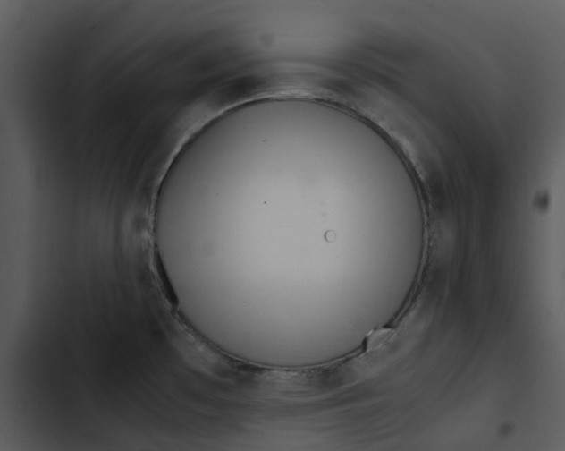 X0000102841481200809081208