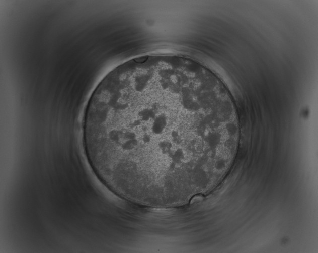 X0000102841483200809081208