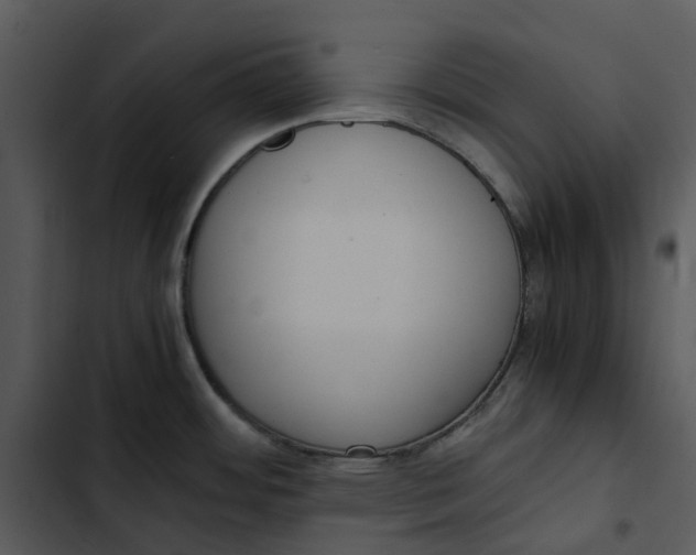 X0000102841484200809081208