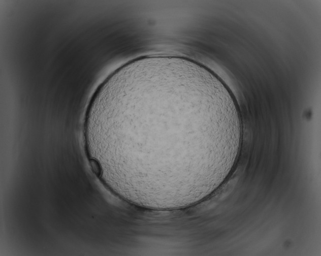 X0000102841485200809081208